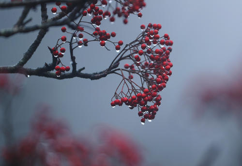 秋雨_1200字