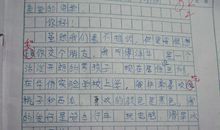 回报_100字