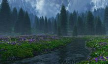 春天的风景_1200字