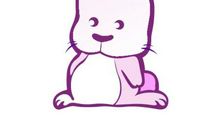 我家的小白兔_400字