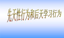 后天的后天，我认识谁_50字