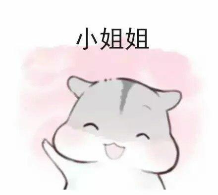 [PK Tour]关于可爱的__的成分：可爱的仓鼠_200字