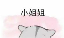 [PK赛]关于可爱的＿＿的作文：可爱的仓鼠_200字