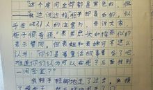 [PK赛]关于可爱的＿＿的作文：可爱的爸爸_250字