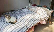 一条绳子串起的童年_550字