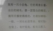 [PK赛]关于可爱的＿＿的作文：可爱的小白兔_450字