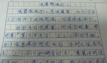 [PK赛]关于可爱的＿＿的作文：可爱的妈妈_200字