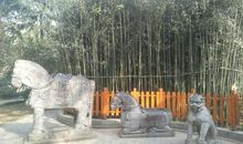 孽缘，无关风月_2000字