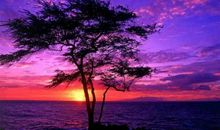 一抹揉绉的忧伤_3000字