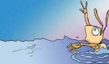 我和鸽子的故事_1200字