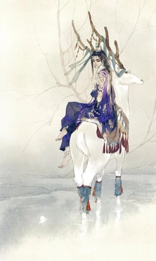 不骑白马的骑士_450字