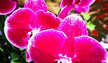 春天里的冬天（四)_200字