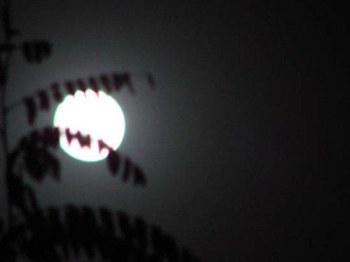 泪水流到午夜的月光下