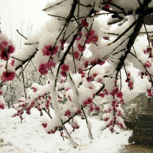 我在梅翔，等着你。