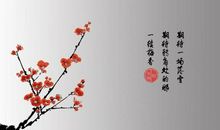 采一缕梅香，入诗