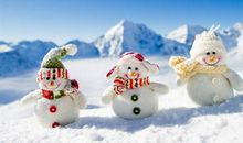 关于雪景的作文：沙漠中的雪花_1000字