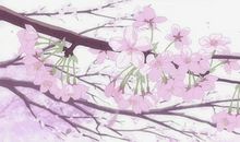 相约，一朵春天的微笑