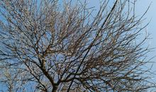 你躲在我每一页浅浅的诗行