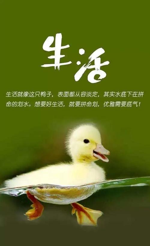 有一个温暖，叫你