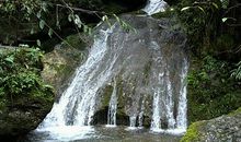 正月初二登青城山