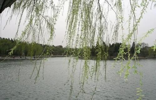   竖起大拇指