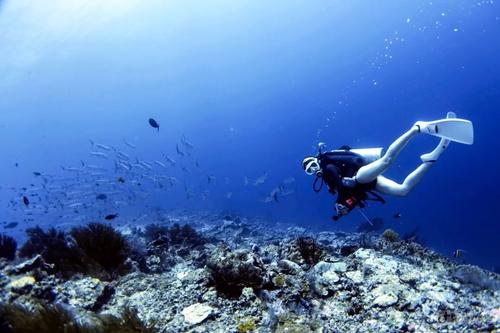 因为爱情，我走了数千英里