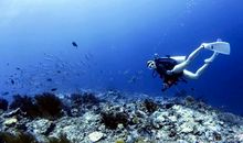 因为爱，我行走千里