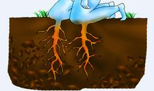 朽木不可雕也，粪土之墙不可圬也！