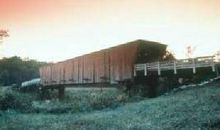 行人莫便消魂去，汉渚星桥尚有期。