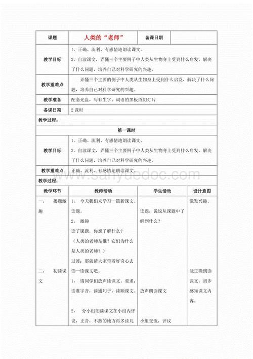我的新语言老师_900字
