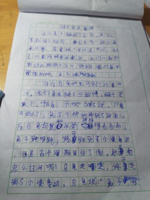 乌龟愤怒竞赛跑步写_650字