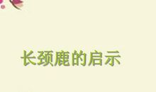 绘画的启示_500字