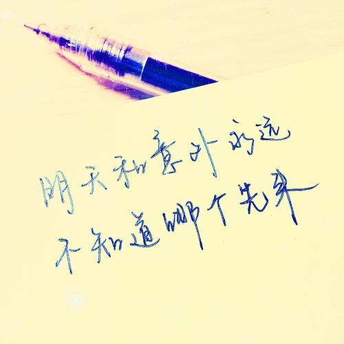 我们的世界_1200字