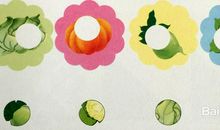 我喜欢的小动物——孔雀__750字