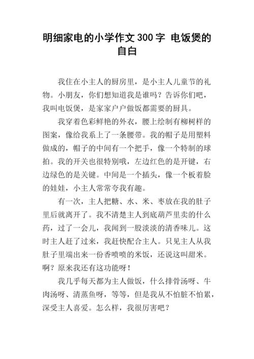 我的房子电饭煲_300字