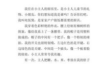 我家的电饭煲_300字