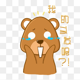 我心爱的熊_300字