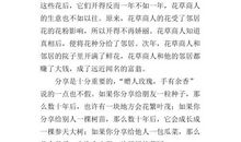 关于感悟的作文：感悟_900字