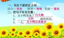 《丑小鸭》续写（一）_350字