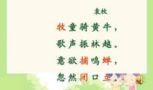 《所见》改写_250字