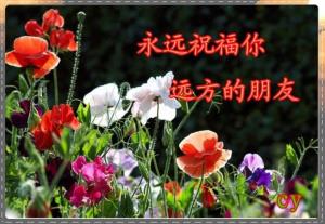 你好