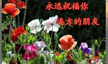 朋友的问候