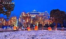 夜色斑斓春熙路_550字