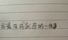 这是一次成功的尝试_1500字