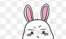 《可爱的小白兔》_150字