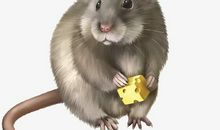 老鼠吱吱和奶酪_100字