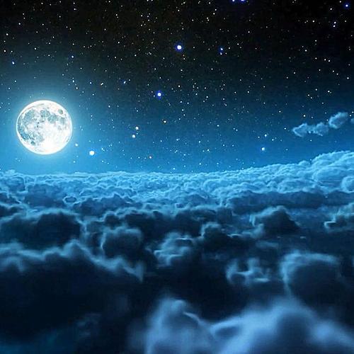 月夜_650字