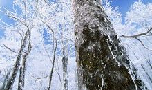 在公园里玩_100字