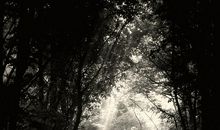 请给我一缕阳光_750字