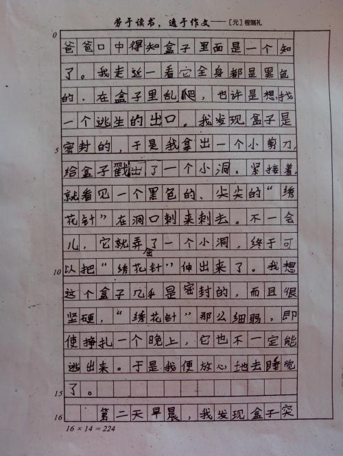 第三个叙事成分：爬上_700字